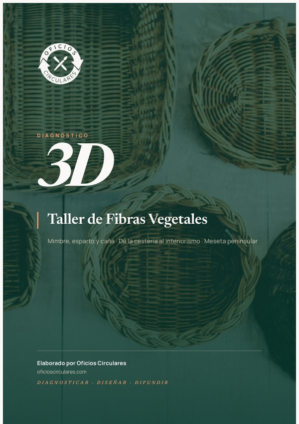Portada del ejemplo de Diagnóstico 3D para cestería y mimbre