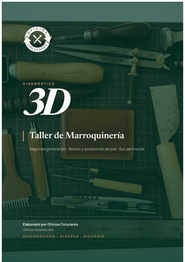 Portada del ejemplo de Diagnóstico 3D para cuero y marroquinería