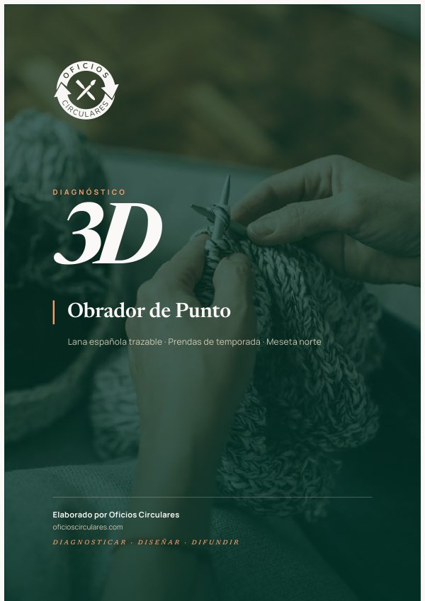 Portada del ejemplo de Diagnóstico 3D para lana y costura
