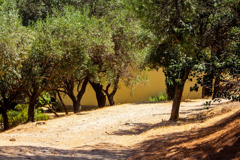 Residuo local convertido en material para artesanos