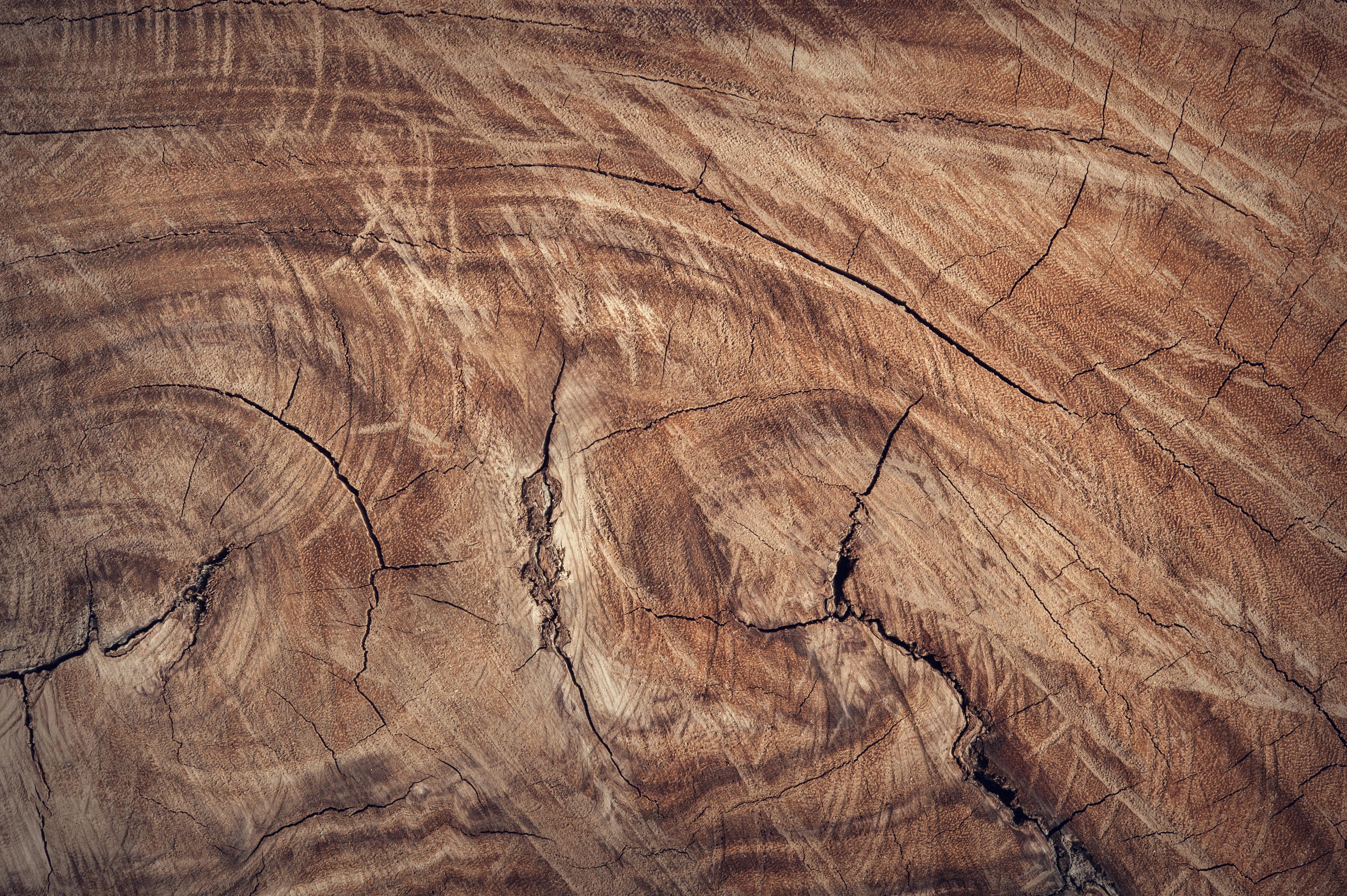 Textura natural de madera sostenible